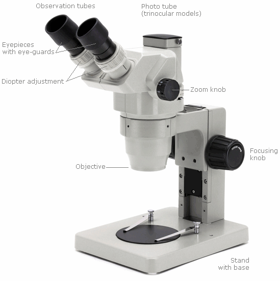 Microscope accessories and spare parts function – chutongelec.com