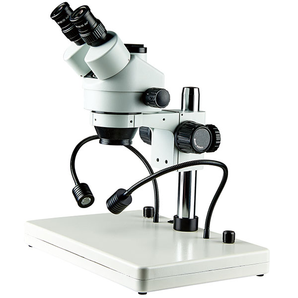 Trinocular microscope gooseneck lighting
