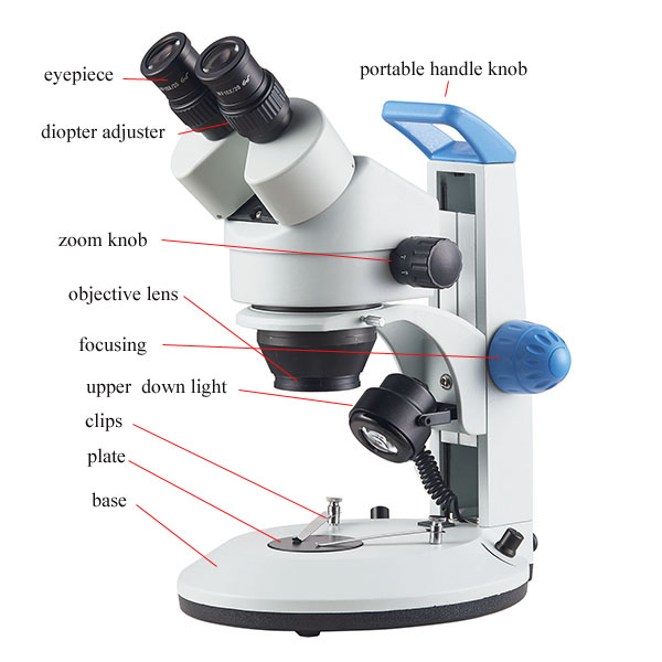 Stereo zoom microscope binocular zoom microscope track stand downlight ...