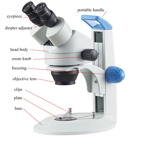 zoom stereo microscope with portable handle 95mm plate clarity