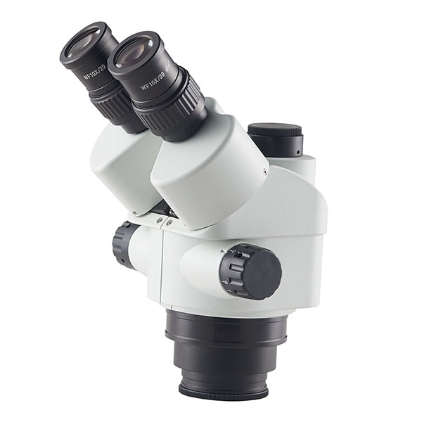 microscope body trinocular