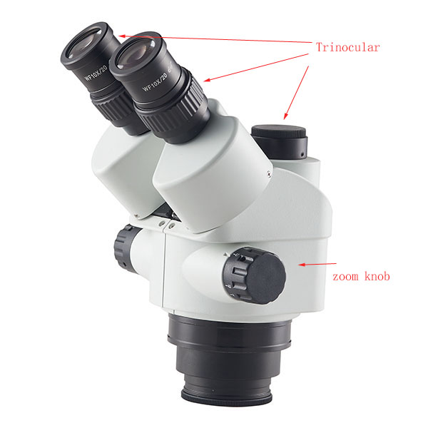 trinocular microscopes