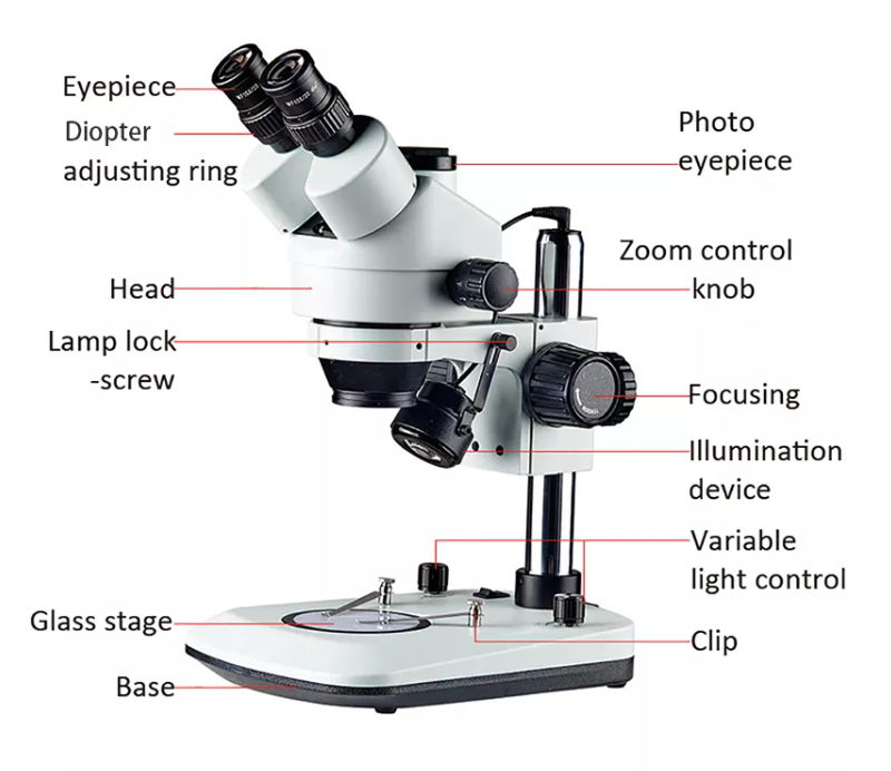 microscope parts
