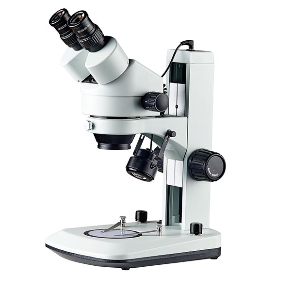 binocular microscope