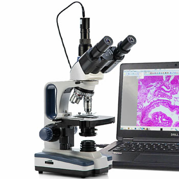 trinocular microscopes